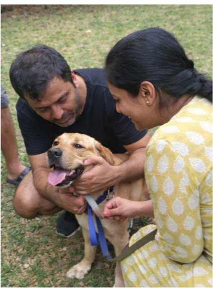 Understanding livestock care practices