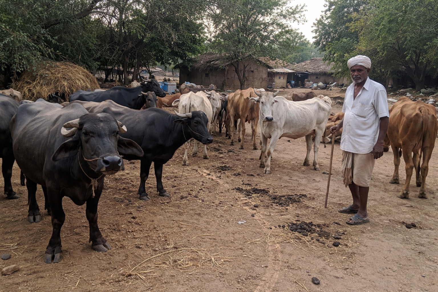 Field research with farmers